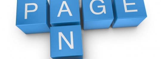 Search Engine Optimization in Raleigh